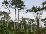 49702CIMG6039.JPG