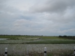 15778IMG_4867.JPG
