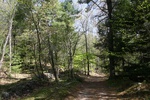 255IMG_4151.JPG