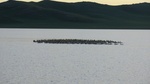 33846CIMG2587.JPG
