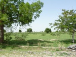 19162P1010008.JPG