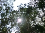 46377CIMG0666.JPG