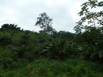 25509P1020354.JPG