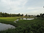 21747DSC00293.JPG