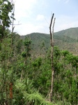 53760CIMG7160.JPG