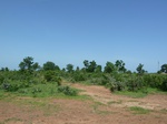 19442P1010289.JPG