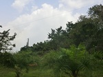 49854CIMG6191.JPG