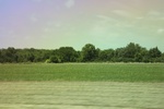 2024-06-17_21-53-00_AAD99567-6DD8-4826-9190-AEFD16FB642D.jpeg