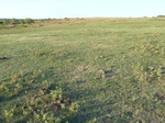39191CHEY20110816S.JPG