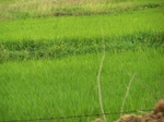 17470100_2159.JPG