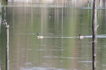 398IMG_3507.JPG