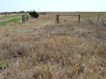 39279PUTN20110726E.JPG