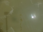 58567CIMG3017.JPG