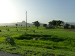 19389P1010236.JPG