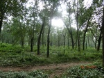52600CIMG3923_调整大小.JPG