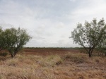 35900DSC02668.JPG