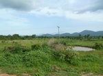 18658P1000496.JPG