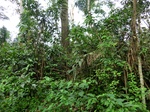 46035CIMG0324.JPG