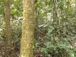 46805DSC02143.JPG