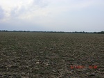 29512CIMG0832.JPG