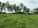 18650P1000488.JPG