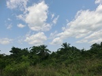 52018CIMG0769.JPG