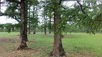 34050CIMG2238.JPG