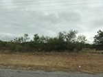 35798DSC02560.JPG