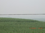 33157CIMG2394.JPG