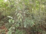 46820DSC02158.JPG
