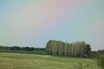 2024-08-05_14-43-42_EEC5E499-B489-4205-9530-43BCE48CC2DC.jpeg