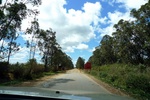 28398P1010409-1.JPG