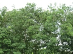 34844CIMG1515.JPG