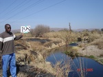 11096gt-198-wetland-perrinial-river-02.jpg