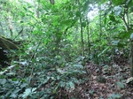 45707CIMG2792.JPG