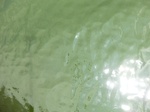 58368CIMG2817.JPG