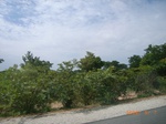 8909nigeria 121.jpg