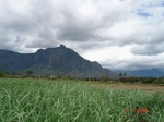 6339069d-irrigated-supplemental-tank-openwell-borewell-sugarcane-maize-onion-singlecrop.jpg