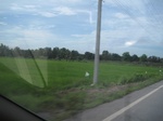26689IMG_3295.JPG