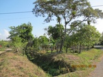 31892IMG_5413.JPG