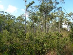 2012-08-28_20-34-50_P1010126.jpg