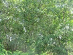 34808CIMG1457.JPG