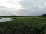 24588DSC00807.JPG