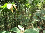 46367CIMG0656.JPG