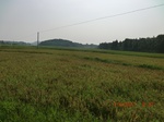 53864CIMG2342.JPG