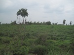 34448IMG_5431.JPG