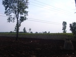 28084RIMG0139.JPG