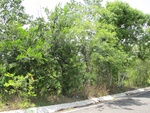 29580IMG_5141.JPG