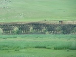 23964P1050067.JPG