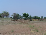 518923042008(8).JPG